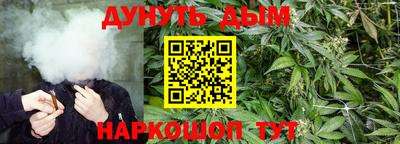 гидропоника Камышлов