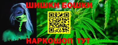 гидропоника Камышлов