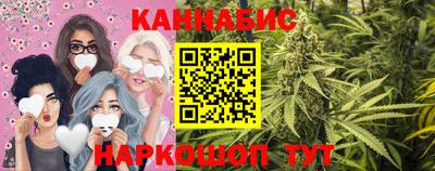 гидропоника Камышлов