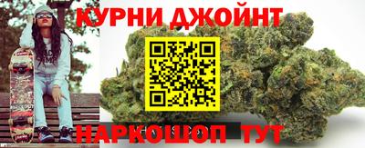 гидропоника Камышлов
