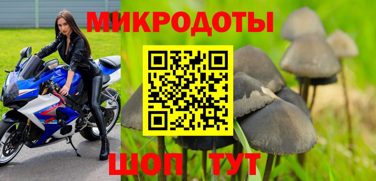 Галлюциногенные грибы Psilocybe  Псилоцибиновые грибы MAGIC MUSHROOMS  Брянск  Вход с VPN 