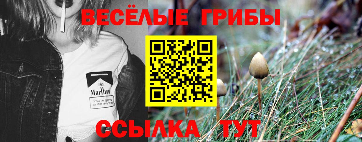 Псилоцибиновые грибы ЛСД Брянск